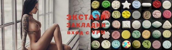 крисы Бородино