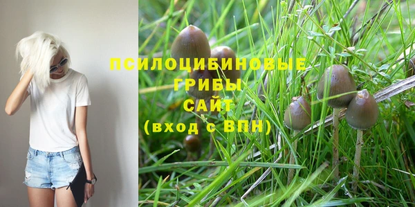 таблы Бронницы