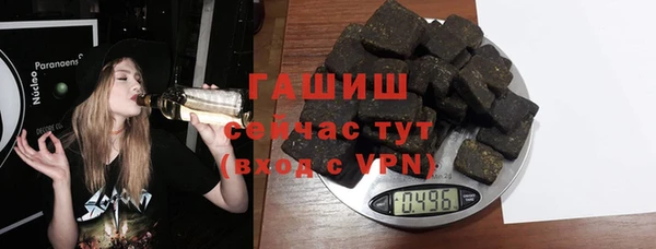 крисы Бородино