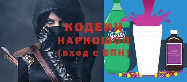 крисы Бородино