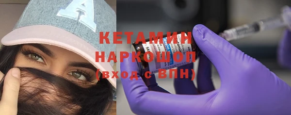 крисы Бородино