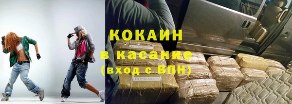 крисы Бородино